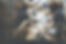 download.png